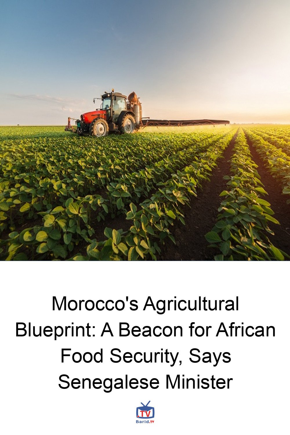 Morocco's Agricultural Blueprint: A Beacon for African Food Security, Says Senegalese Minister 4 Pinterest Hidden