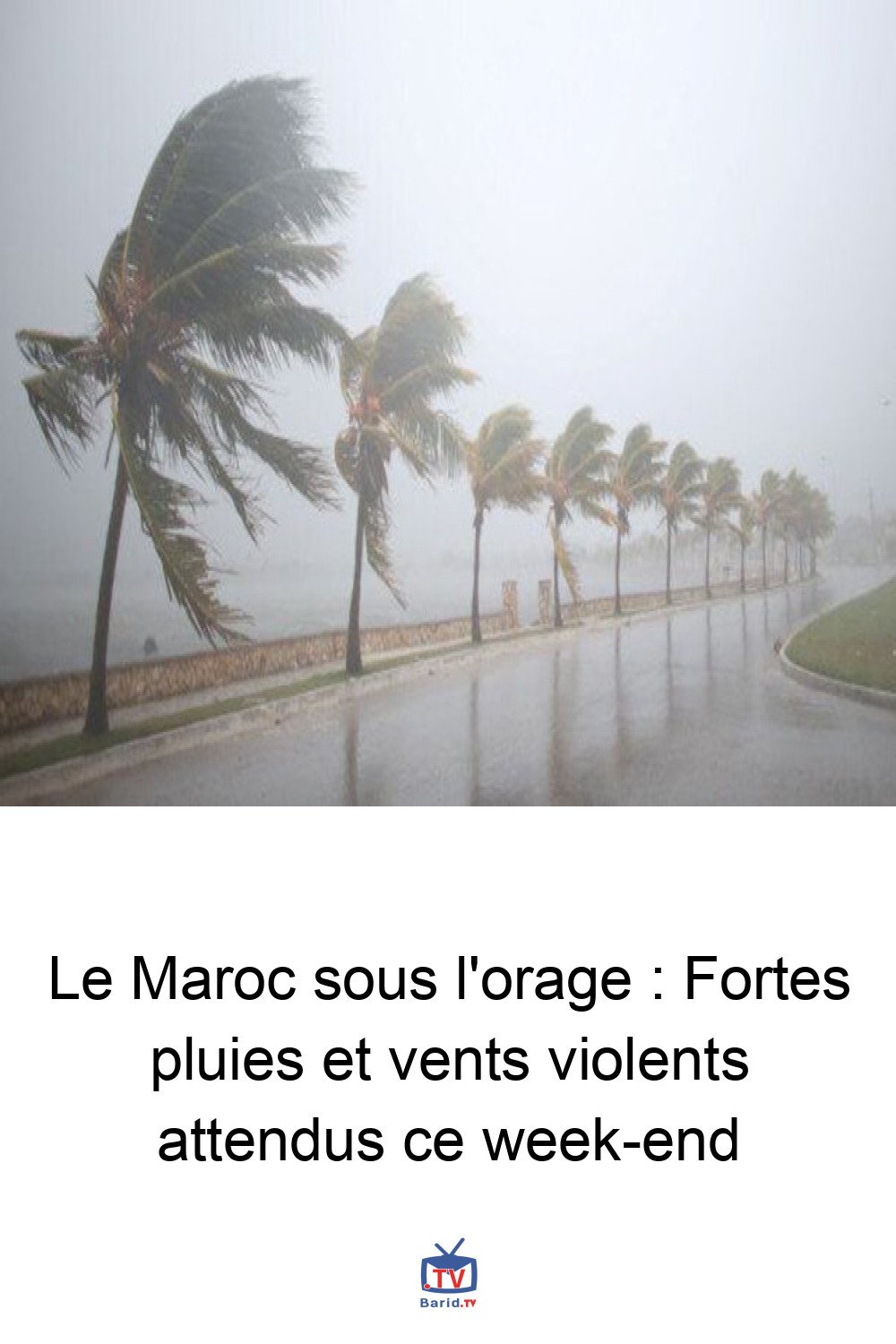 Le Maroc sous l'orage : Fortes pluies et vents violents attendus ce week-end 4 Pinterest Hidden