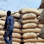 Un champ de cacaoyers en Côte d'Ivoire, symbolisant les exportations agricoles vers l'Union européenne dans le cadre des accords de partenariat économique.