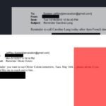 Capture d'écran de documents judiciaires américains liés à l'affaire Jeffrey Epstein, montrant des extraits d'e-mails et des noms de personnalités françaises.