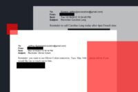 Capture d'écran de documents judiciaires américains liés à l'affaire Jeffrey Epstein, montrant des extraits d'e-mails et des noms de personnalités françaises.