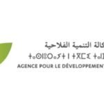 L'ADA Lance un Appel Audacieux : Vingt Alliances Productives pour Transformer l'Agriculture Marocaine 6 Illustration d'une collaboration agricole réussie, avec des agriculteurs et des acheteurs échangeant dans un champ verdoyant sous le soleil marocain.