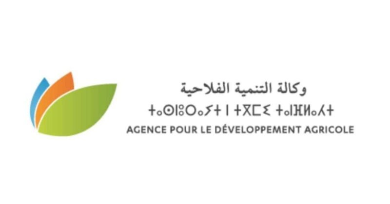 Illustration d'une collaboration agricole réussie, avec des agriculteurs et des acheteurs échangeant dans un champ verdoyant sous le soleil marocain.