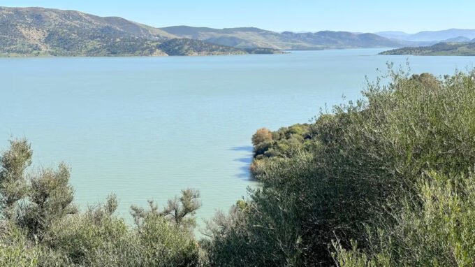 Vue aérienne du barrage Oued El Makhazine avec un niveau d'eau exceptionnellement élevé, témoignant de son remplissage record et de la gestion proactive des autorités marocaines.