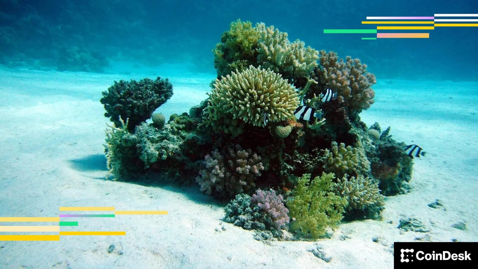 A digital representation of Bitcoin coins underwater, symbolizing the paper losses faced by Bitcoin ETF investors.