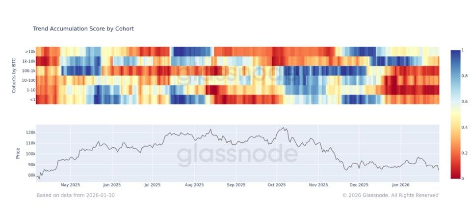 Bitcoin's Deep Dive: 'Mega-Whales' Accumulate as Retail Investors Retreat 3 Illustration of large and small investors in the Bitcoin market, depicting whales accumulating while retail sells off.