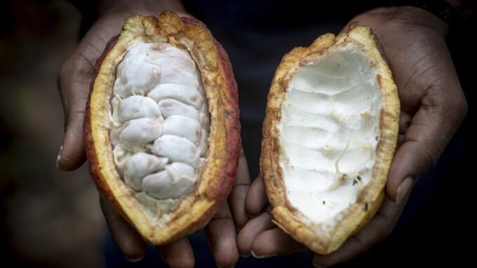 Cacao Ghana