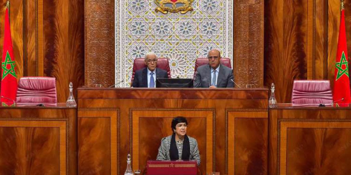 Cour des comptes : Zineb