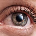 صورة تجمع لقطات متنوعة لأحداث عالمية بارزة