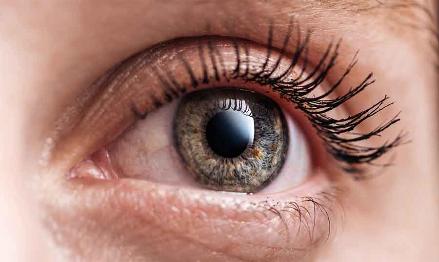 تحقيقات دولية، تصريحات مثيرة، وتحركات دبلوماسية: قراءة في أبرز أحداث الساعة 3 صورة تجمع لقطات متنوعة لأحداث عالمية بارزة