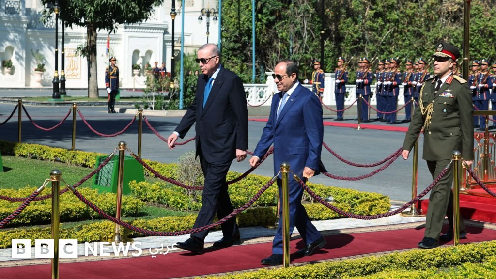 الرئيسان المصري عبد الفتاح السيسي والتركي رجب طيب أردوغان خلال مؤتمر صحفي في القاهرة.