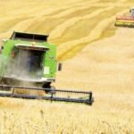 توقعات متباينة للقطاع الزراعي الأوكراني في 2026: نمو القمح والذرة وتراجع دوار الشمس 6 حقول قمح وذرة شاسعة في أوكرانيا تحت سماء صافية، ترمز للإنتاج الزراعي المستقبلي.