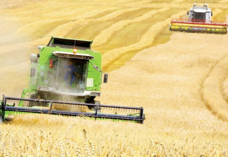 توقعات متباينة للقطاع الزراعي الأوكراني في 2026: نمو القمح والذرة وتراجع دوار الشمس 3 حقول قمح وذرة شاسعة في أوكرانيا تحت سماء صافية، ترمز للإنتاج الزراعي المستقبلي.