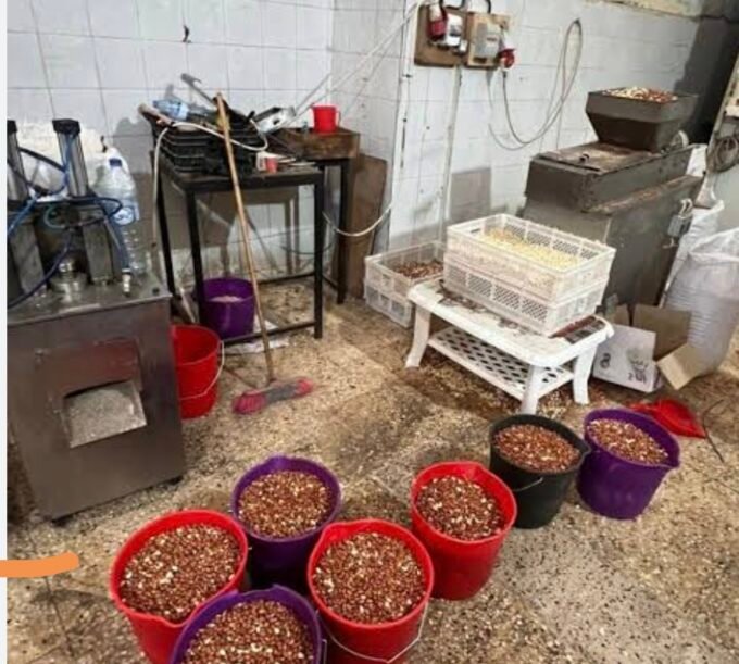 عملية نوعية بالقلعة: الدرك الملكي يحجز أزيد من 10 أطنان من الكاكاو غير الصالح للاستهلاك 25 حجز الكاكاو الفاسد بالقليعة