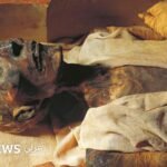 رمسيس الثاني وفرعون موسى: كشف الستار عن لغز تاريخي عبر مومياء ملكية في باريس 6 صورة لمومياء الملك رمسيس الثاني المعروضة في متحف، تظهر تفاصيل التحنيط القديم والملامح المحفوظة.