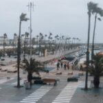 صورة توضيحية لرياح قوية تهب على منطقة ساحلية في كتالونيا، مع أشجار تتحرك بقوة