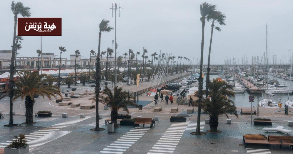 صورة توضيحية لرياح قوية تهب على منطقة ساحلية في كتالونيا، مع أشجار تتحرك بقوة