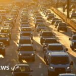 صورة للرئيس الأمريكي دونالد ترامب، مع إشارة إلى حرائق لوس أنجلوس التي ارتبطت بتغير المناخ.