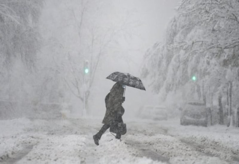 صورة لعاصفة ثلجية كثيفة في رومانيا تظهر تراكم الثلوج على الطرق والأشجار المتساقطة