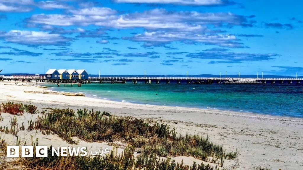 مراهق ينقذ عائلته