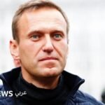 اتهامات دولية خطيرة: سم ضفدع السهام السامة ووفاة أليكسي نافالني 6 وزيرة الخارجية البريطانية إيفيت كوبر تتحدث في مؤتمر ميونيخ للأمن، حيث أعلنت عن نتائج التحقيق في وفاة نافالني.