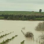 dégâts agricoles Maroc