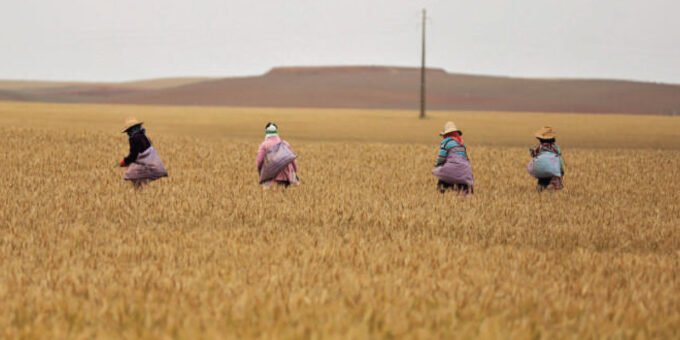 Emploi agricole Maroc