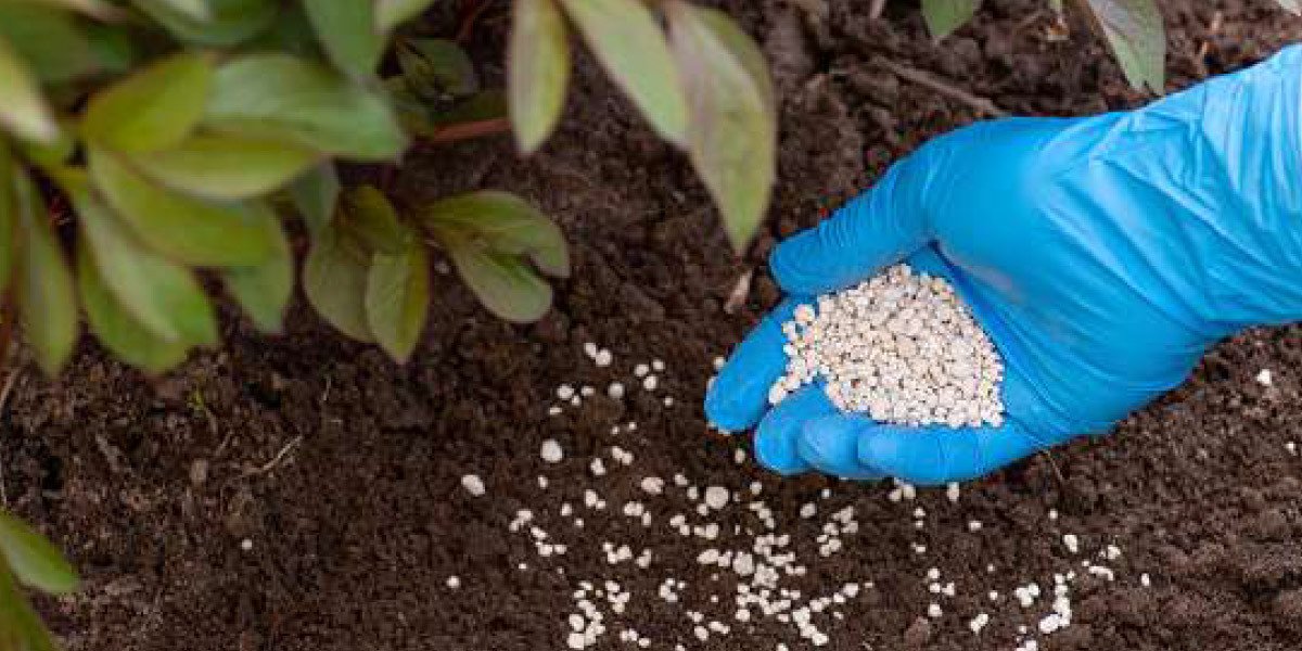 Texte alt pour l'image