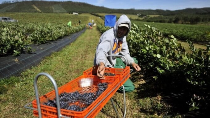 L'Espagne et le défi démographique : l'immigration, moteur essentiel de l'emploi 9 Une foule diversifiée de personnes travaillant dans différents secteurs économiques en Espagne, symbolisant la contribution des immigrés à l'emploi et à la croissance du pays.