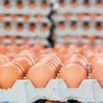 Flambée des prix des œufs au Maroc