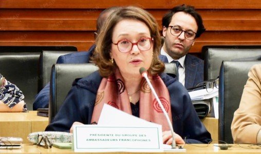 Francophonie africaine