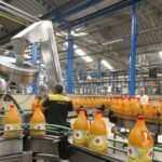 Lesieur Cristal : Résilience Financière