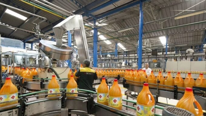 Lesieur Cristal : Résilience Financière et Élan Vert en 2025 9 Lesieur Cristal : Résilience Financière