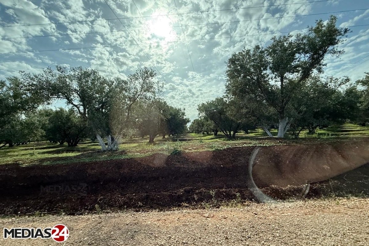Météo Maroc 23 février 2026