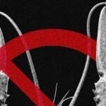 A stylized image representing a digital claw or robot hand interacting with a computer screen, with cybersecurity warning symbols overlaid.