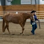 Best practices for leading remote teams in the digital age. complete guide