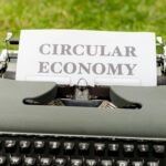 Most sustainable business models for long-term profitability. complete guide