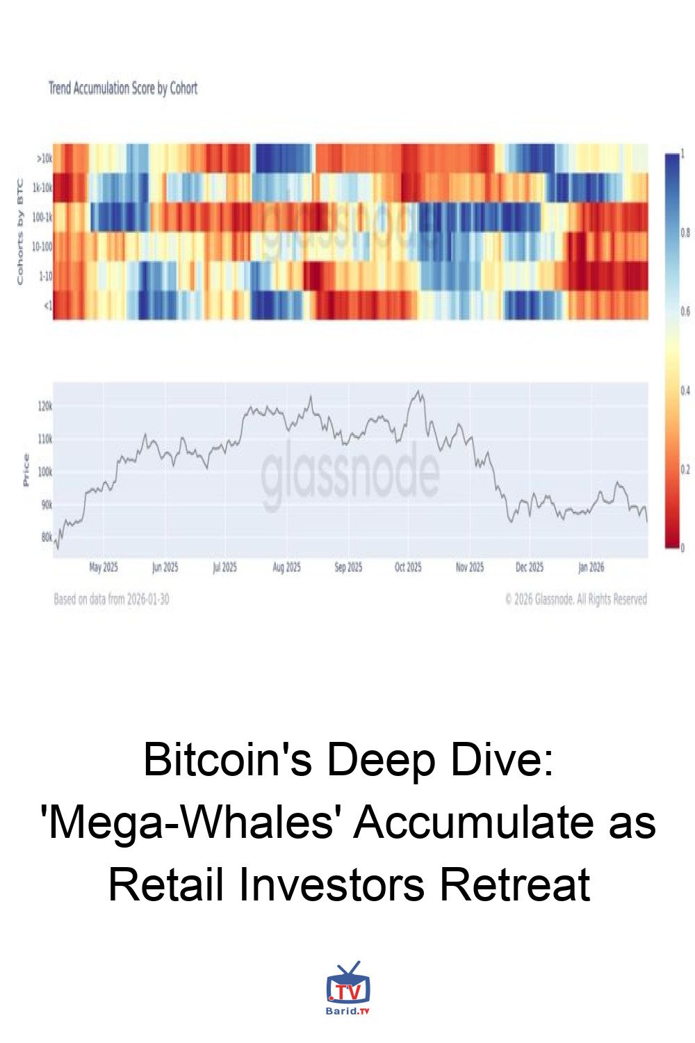 Bitcoin's Deep Dive: 'Mega-Whales' Accumulate as Retail Investors Retreat 4 Pinterest Hidden