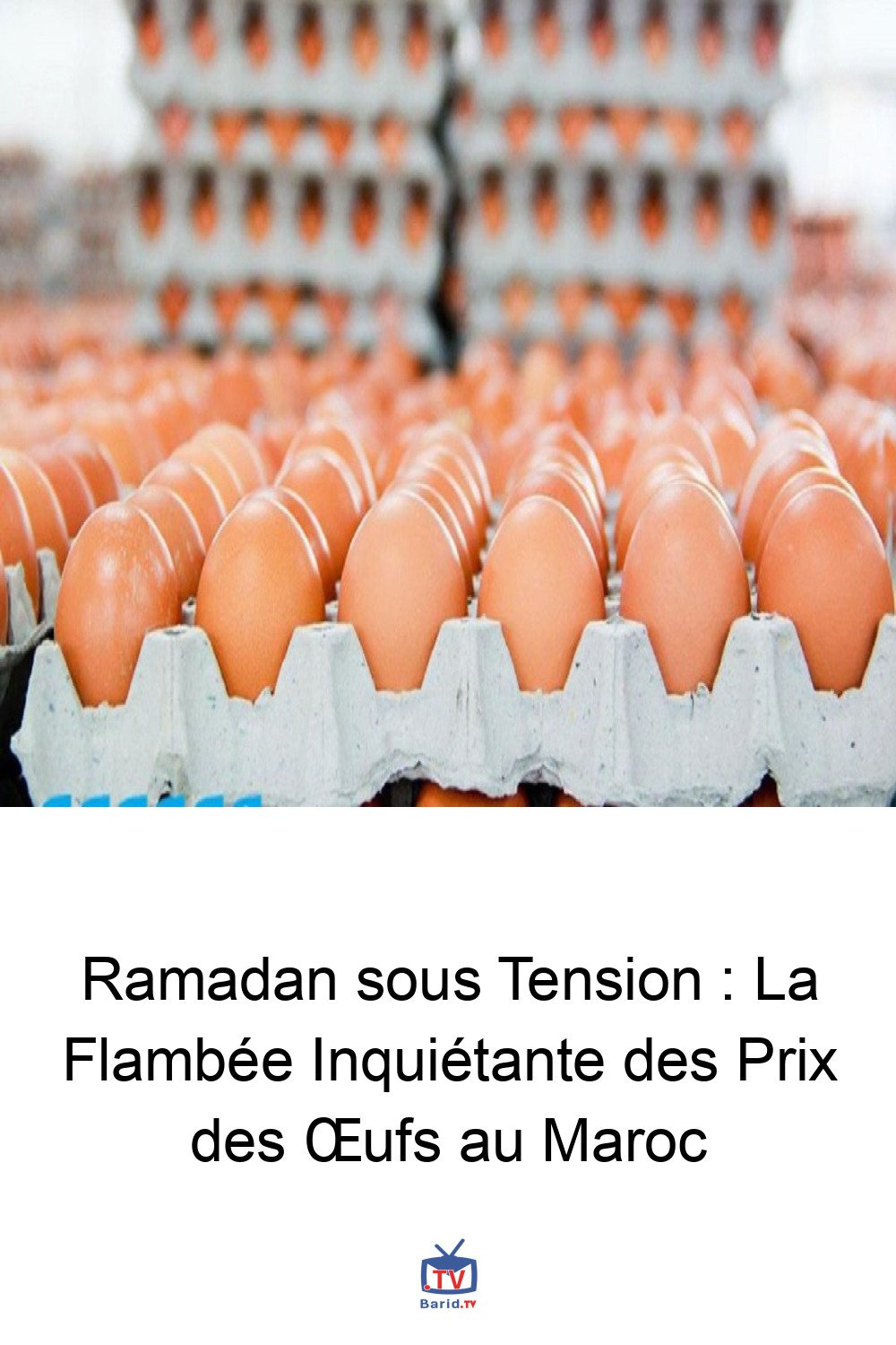 Ramadan sous Tension : La Flambée Inquiétante des Prix des Œufs au Maroc 4 Pinterest Hidden