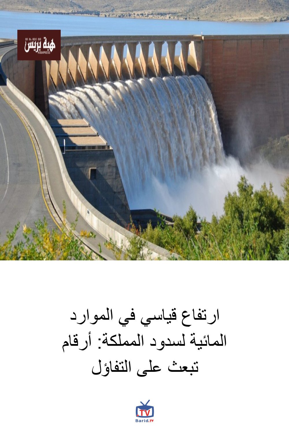 ارتفاع قياسي في الموارد المائية لسدود المملكة: أرقام تبعث على التفاؤل 4 Pinterest Hidden
