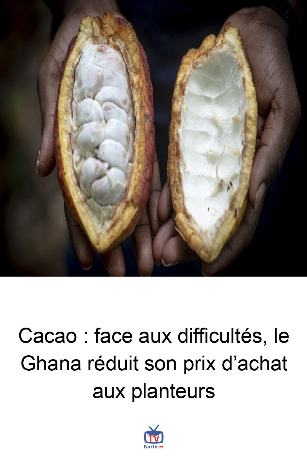 Cacao : face aux difficultés, le Ghana réduit son prix d’achat aux planteurs 4 Pinterest Hidden