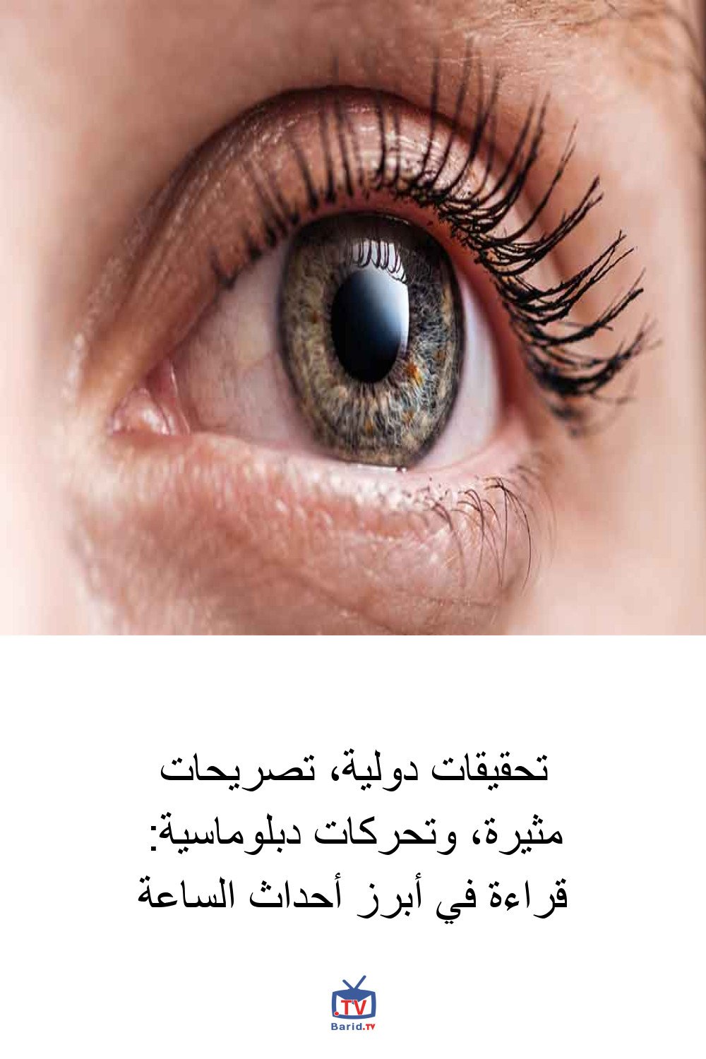 تحقيقات دولية، تصريحات مثيرة، وتحركات دبلوماسية: قراءة في أبرز أحداث الساعة 4 Pinterest Hidden