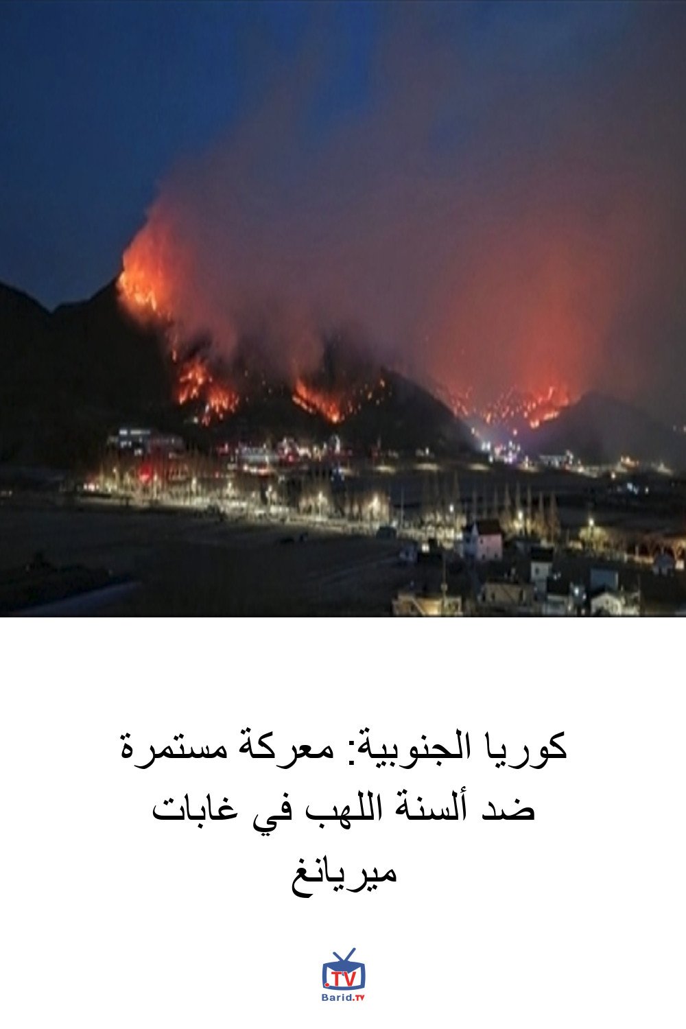 كوريا الجنوبية: معركة مستمرة ضد ألسنة اللهب في غابات ميريانغ 4 Pinterest Hidden