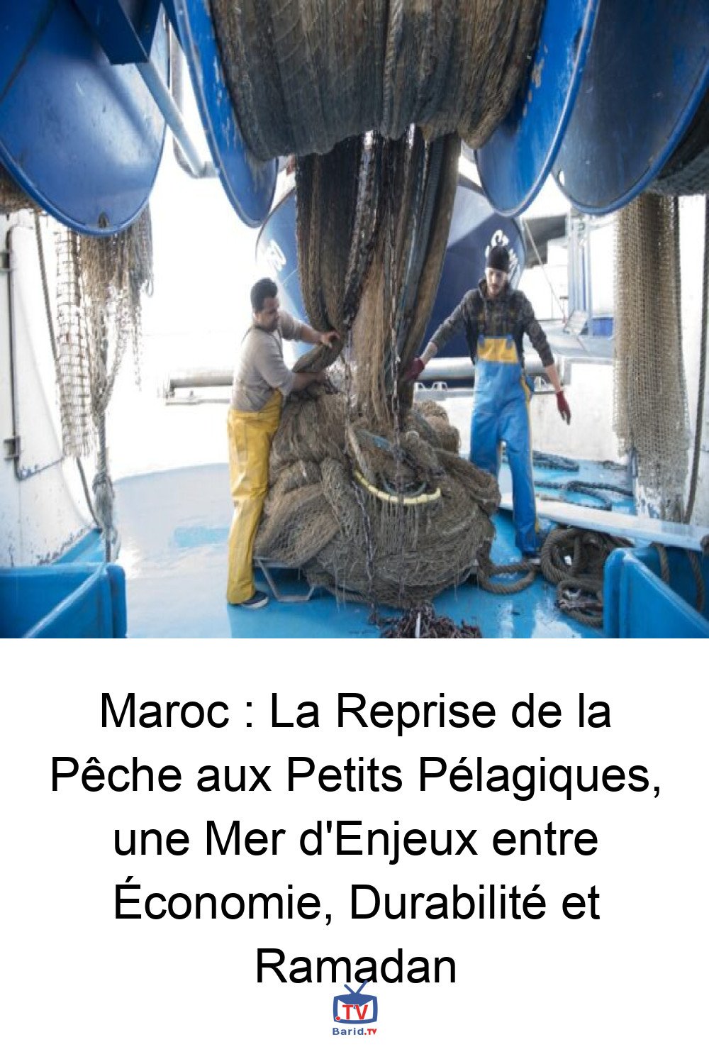 Maroc : La Reprise de la Pêche aux Petits Pélagiques, une Mer d'Enjeux entre Économie, Durabilité et Ramadan 4 Pinterest Hidden