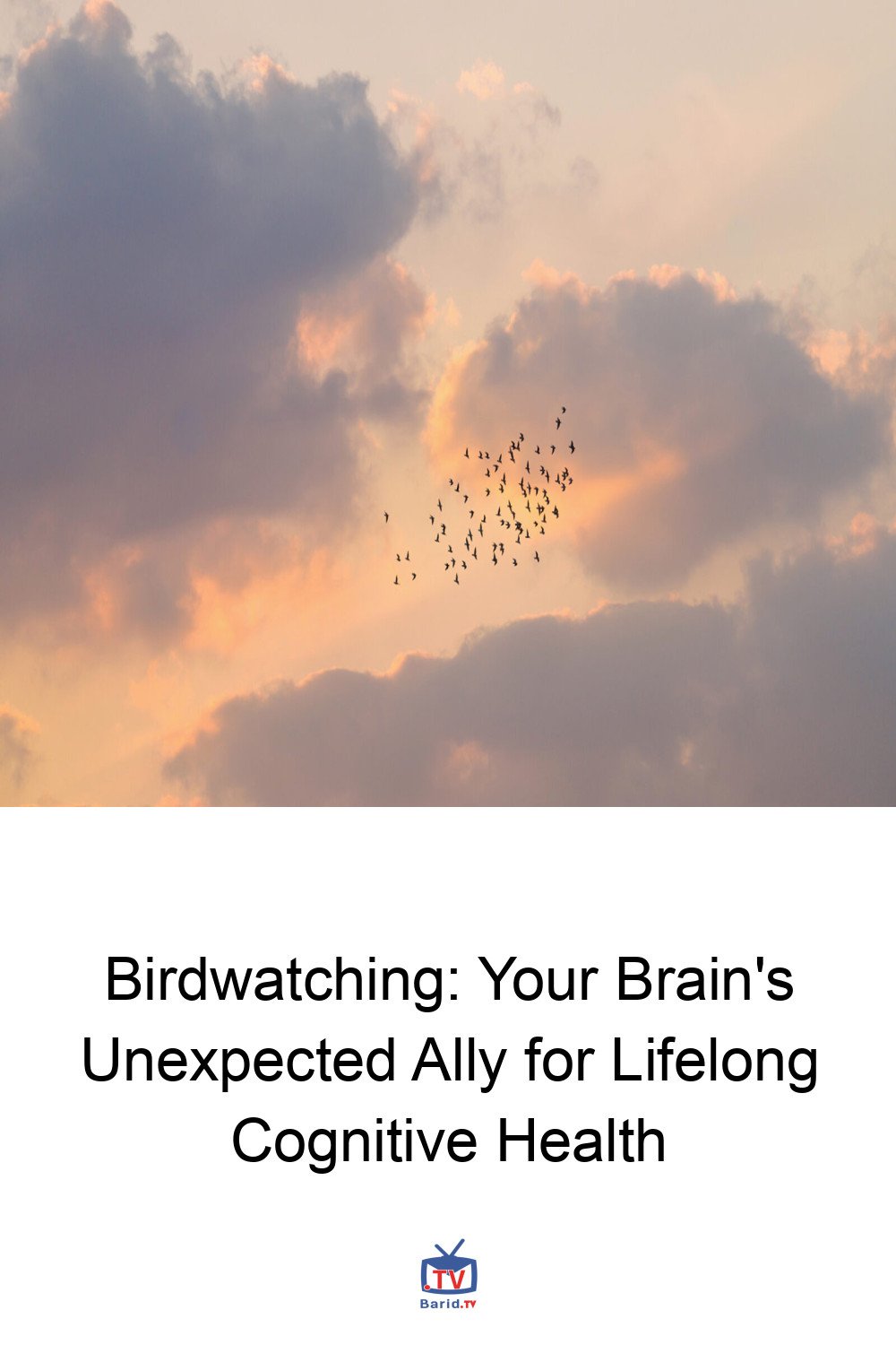 Birdwatching: Your Brain's Unexpected Ally for Lifelong Cognitive Health 4 Pinterest Hidden