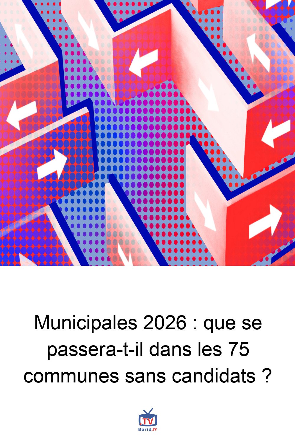 Municipales 2026 : que se passera-t-il dans les 75 communes sans candidats ? 4 Pinterest Hidden