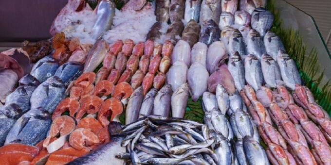 Un étal de poisson frais dans un marché marocain, avec des prix affichés, symbolisant la cherté dénoncée