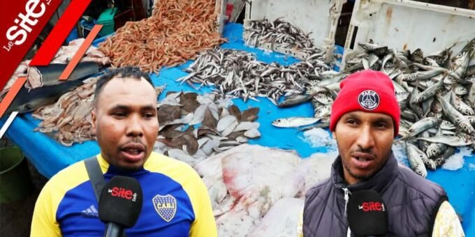 Ramadan: la hausse des prix du poisson provoque la colère (VIDEO) 7 Ramadan: la hausse des prix