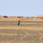 Sahara Marocain : Washington orchestre