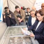 Des sardines fraîches et congelées, symbolisant la stratégie du gouvernement marocain pour stabiliser les prix du poisson avant le Ramadan.